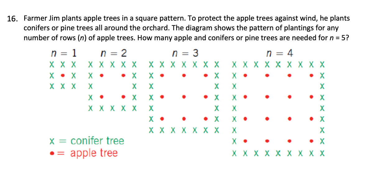 16. Farmer Jim plants apple trees in a square pattern. To protect the apple trees against wind, he plants
conifers or pine trees all around the orchard. The diagram shows the pattern of plantings for any
number of rows (n) of apple trees. How many apple and conifers or pine trees are needed for n = 5?
n =
2
n = 3
n = 4
X X X X X X X X X X X X X X X X X X X X X
n =
X X X
1
X • X
X •
X X X
X
X •
• X
X X
X X X X X
•
X
XXXXXXX
XX
X •
X •
X X
XX
• X X •
X X X X X X X
X
x = conifer tree
• = apple tree
X
X
• X
X •
X X X X X X X X X
