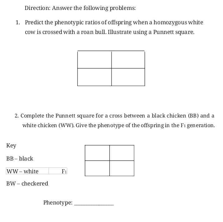 Direction: Answer the following problems:
1. Predict the phenotypic ratios of offspring when a homozygous white
cow is crossed with a roan bull. Illustrate using a Punnett square.
2. Complete the Punnett square for a cross between a black chicken (BB) and a
white chicken (WW). Give the phenotype of the offspring in the F1 generation.
Кey
BB – black
ww- white
F1
BW – checkered
Phenotype:
