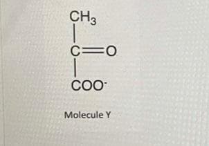 CH3
C=0
COO
Molecule Y
