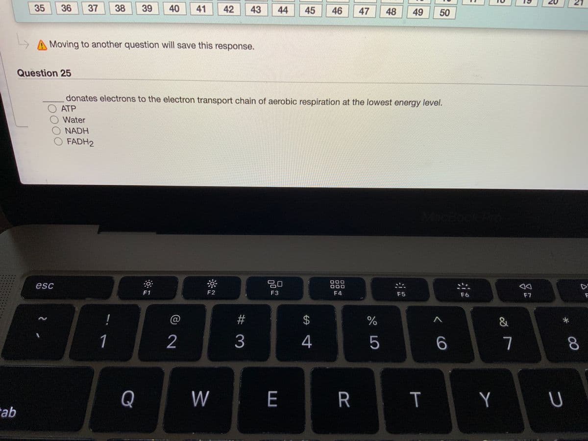 35
36
37
38
39
40
41
42
43
44
45
46
47
48
50
A Moving to another question will save this response.
Question 25
donates electrons to the electron transport chain of aerobic respiration at the lowest energy level.
АТР
Water
NADH
FADH2
CBook
esc
20
000
000
F1
F2
F3
F4
F5
F6
F7
#
2$
1
2
3
4
5
6.
7
Q
W
E
R
Y
ab
00
つ
49
T
