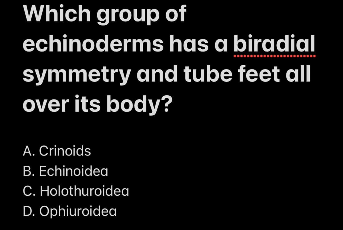 Which group of
echinoderms has a biradial
symmetry and tube feet all
over its body?
A. Crinoids
B. Echinoidea
C. Holothuroidea
D. Ophiuroidea
