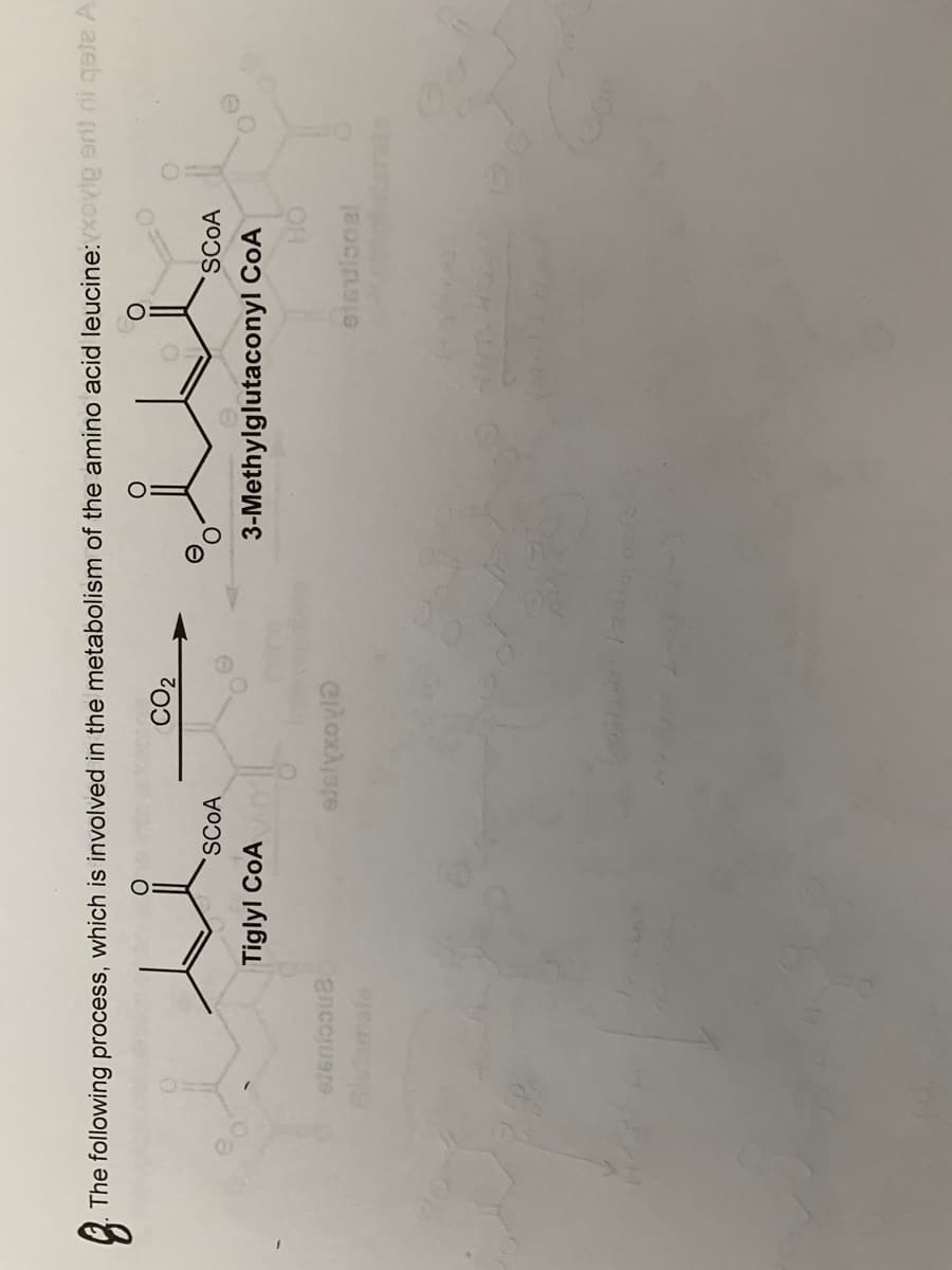 The following process, which is involved in the metabolism of the amino acid leucine: Xovip erit ni qete A
CO,
SCOA
SCOA
Tiglyl CoA
3-Methylglutaconyl CoA
