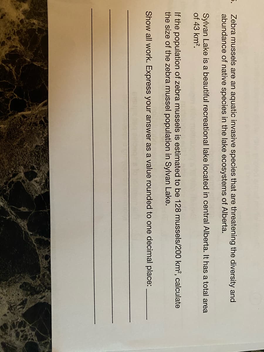 5.
Zebra mussels are an aquatic invasive species that are threatening the diversity and
abundance of native species in the lake ecosystems of Alberta.
Sylvan Lake is a beautiful recreational lake located in central Alberta. It has a total area
of 43 km?.
If the population of zebra mussels is estimated to be 128 mussels/200 km?, calculate
the size of the zebra mussel population in Sylvan Lake.
Show all work. Express your answer as a value rounded to one decimal place:
