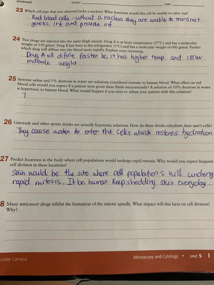 (continued)
Section
Date
23 Which cell type that you observed lacks a nucleus? What functions would this cell be unable to carry out?
Red bload cells -uithout a hucleus they are wable to trans mit
gene tic inf and praide inf.
24 Two drugs are injected into the same thigh muscle. Drug A is at body temperature (37°C) and has a molecular
weight of 150 g/mol. Drug B has been in the refrigerator (5°C) and has a molecular weight of 600 g/mol. Predict
which drug will diffuse into the blood more rapidly. Explain your reasoning.
Dhug A uill difuse faster bc it has highen temp and ID
moteaule
ueight
25 Isotonic saline and 5% dextrose in water are solutions considered isotonic to human blood. What effect on red
blood cells would you expect if a patient were given these fluids intravenously? A solution of 10% dextrose in water
is hypertonic to human blood. What would happen if you were to infuse your patient with this solution?
26 Gatorade and other sports drinks are actually hypotonic solutions. How do these drinks rehydrate their user's cells?
They cause uaten to enter the cells uhuch restres hydration
27 Predict locations in the body where cell populations would undergo rapid mitosis. Why would you expect frequent
cell division in these locations?
SKin nauld be Hhe site where cell pcpubution s uill undeng
rapid mitesus. be humar Keep shedding skin everyday
8 Many anticancer drugs inhibit the formation of the mitotic spindle. What impact will this have on cell division?
Why?
Microscopy and Cytology
UNIT 5
ndale Campus
