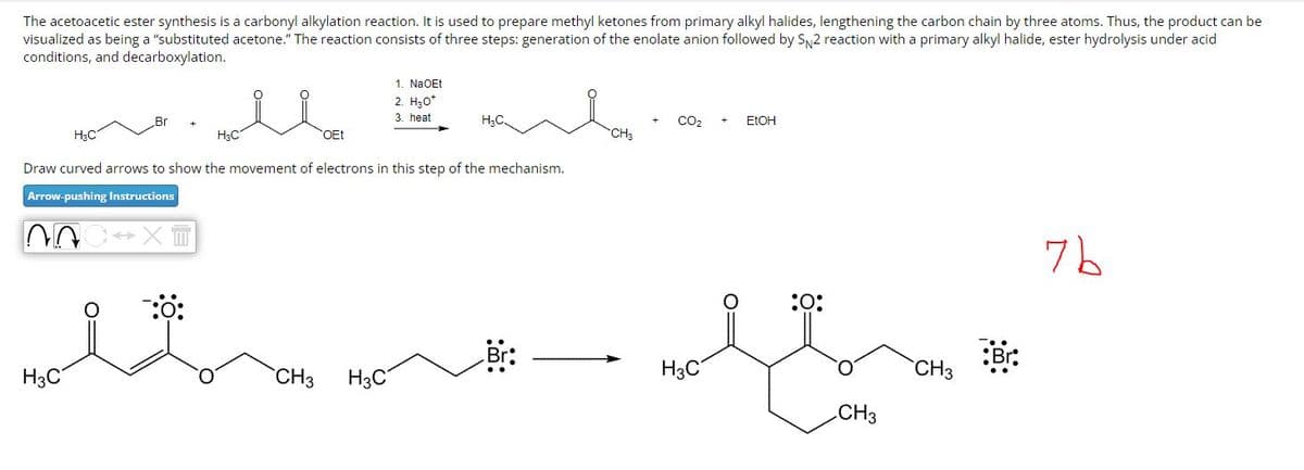 The acetoacetic ester synthesis is a carbonyl alkylation reaction. It is used to prepare methyl ketones from primary alkyl halides, lengthening the carbon chain by three atoms. Thus, the product can be
visualized as being a "substituted acetone." The reaction consists of three steps: generation of the enolate anion followed by SN2 reaction with a primary alkyl halide, ester hydrolysis under acid
conditions, and decarboxylation.
м
Br
H3C
H3C
OEt
1. NaOEt
2. H₂O*
3. heat
H₂C.
Draw curved arrows to show the movement of electrons in this step of the mechanism.
CO₂
EtOH
CH3
Arrow-pushing Instructions
H3C
1:0:
:0:
:Br:
Br:
H₂C
CH3
CH3
H3C
CH3
7b