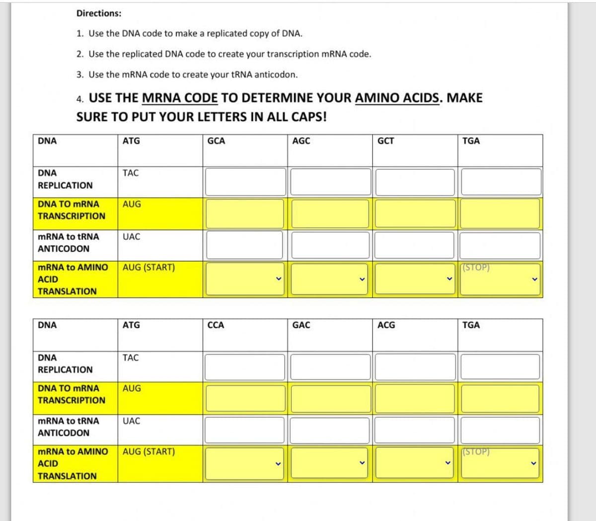 Directions:
1. Use the DNA code to make a replicated copy of DNA.
2. Use the replicated DNA code to create your transcription mRNA code.
3. Use the mRNA code to create your tRNA anticodon.
4. USE THE MRNA CODE TO DETERMINE YOUR AMINO ACIDS. MAKE
SURE TO PUT YOUR LETTERS IN ALL CAPS!
DNA
ATG
GCA
AGC
GCT
TGA
DNA
TAC
REPLICATION
DNA TO MRNA
AUG
TRANSCRIPTION
MRNA to tRNA
UAC
ANTICODON
MRNA to AMINO
AUG (START)
(STOP)
ACID
TRANSLATION
DNA
ATG
ССА
GAC
ACG
TGA
DNA
ТАС
REPLICATION
DNA TO MRNA
AUG
TRANSCRIPTION
MRNA to TRNA
UAC
ANTICODON
MRNA to AMINO
AUG (START)
(STOP)
ACID
TRANSLATION
