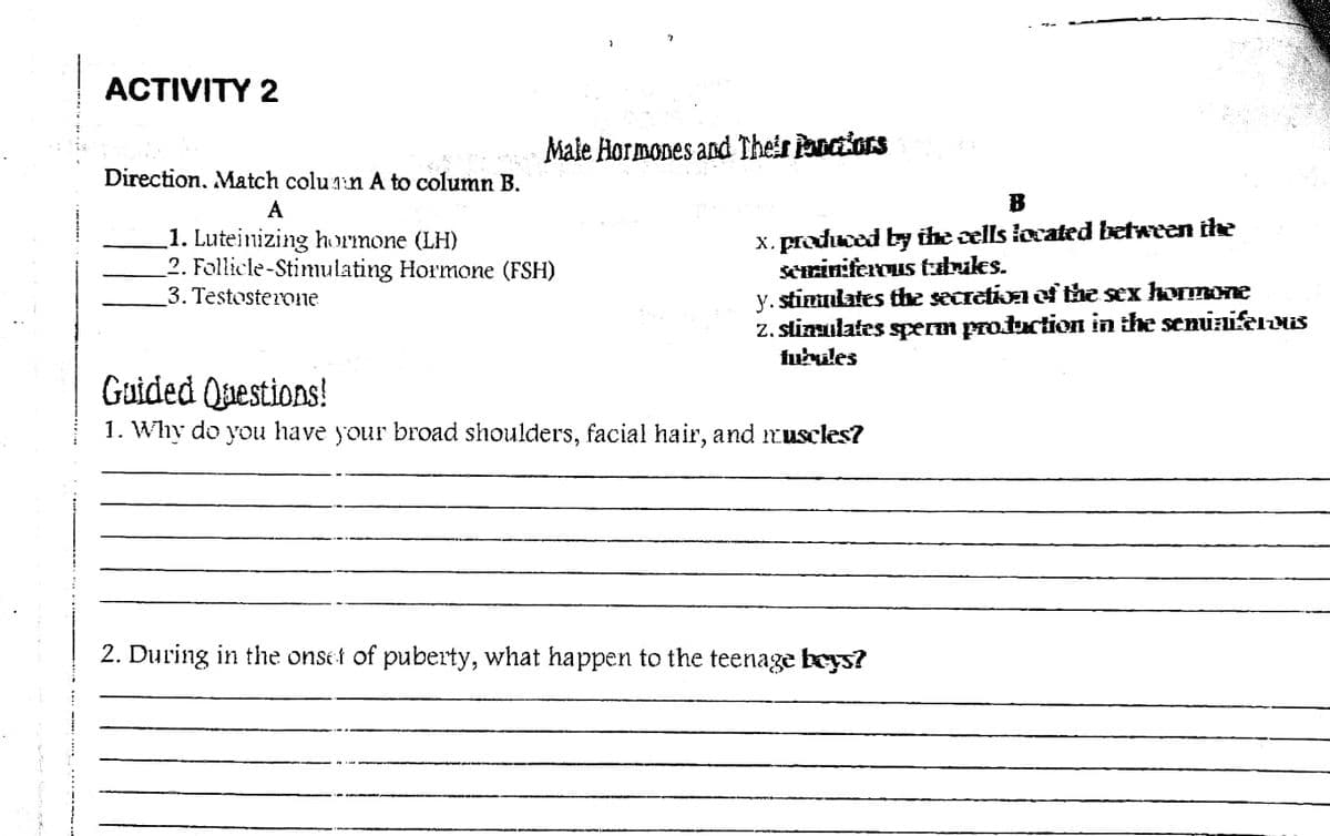 ACTIVITY 2
Male Hormones and Their Panciors
Direction. Match colu 1n A to column B.
A
B
1. Luteinizing hrmone (LH)
2. Follicle-Stimulating Hormone (FSH)
3. Testosterone
x. produced by the cells located between the
Seriniferous tbules.
y. stimulates the secretion ef the sex homone
z. stimulates spœrm production in the senuaifeus
fuules
Guided Questions!
1. Why do you have your broad shoulders, facial hair, and muscles?
2. During in the onset of puberty, what happen to the teenage beys?
