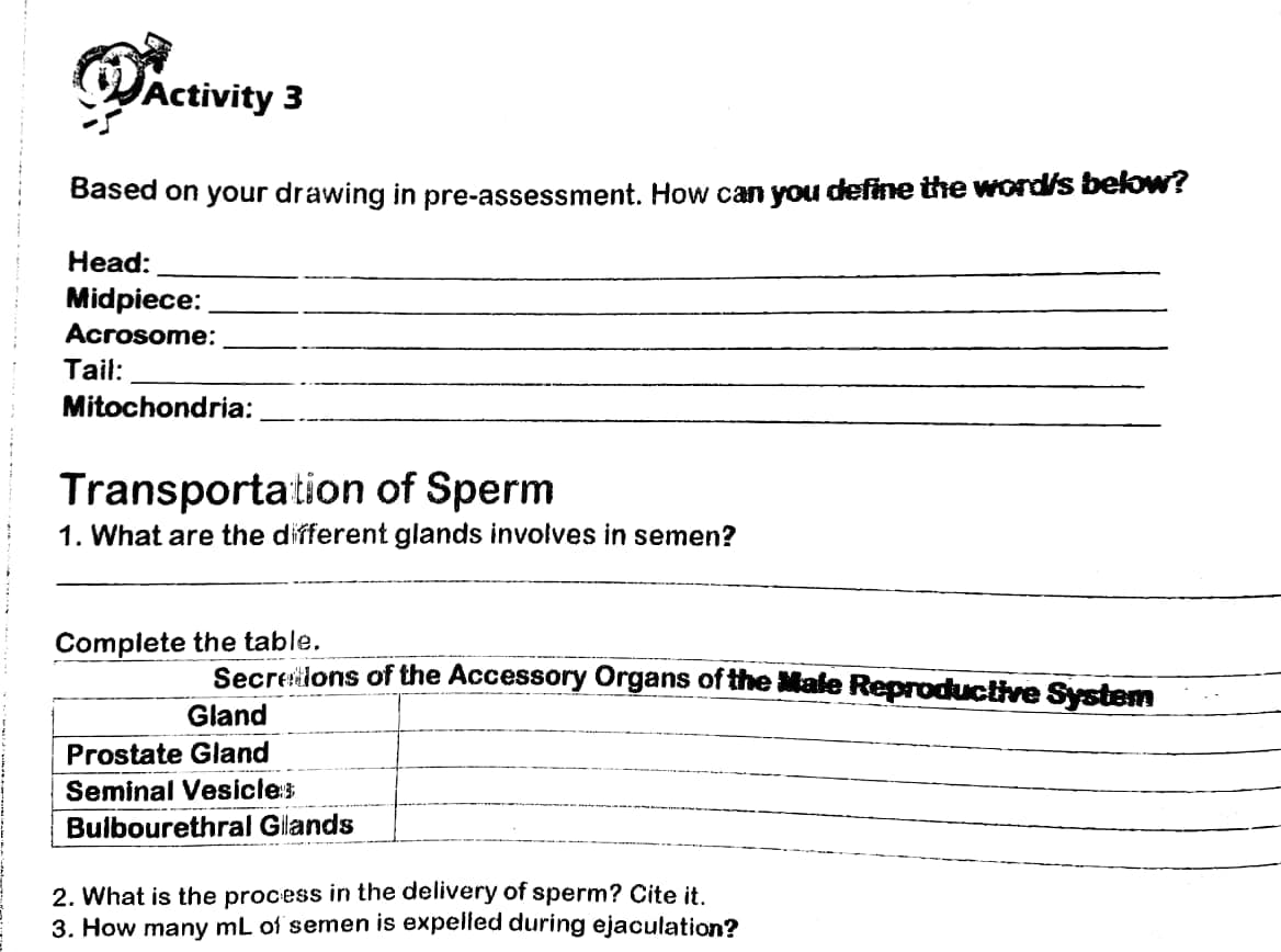 Activity 3
Based on your drawing in pre-assessment. How can you define the word/s below?
Head:
Midpiece:
Acrosome:
Tail:
Mitochondria:
Transportation of Sperm
1. What are the different glands involves in semen?
Complete the table.
Secreions of the Accessory Organs of the Male Reproductive System
Gland
Prostate Gland
Seminal Vesicles
Bulbourethral Gilands
2. What is the process in the delivery of sperm? Cite it.
3. How many mL of semen is expelled during ejaculation?

