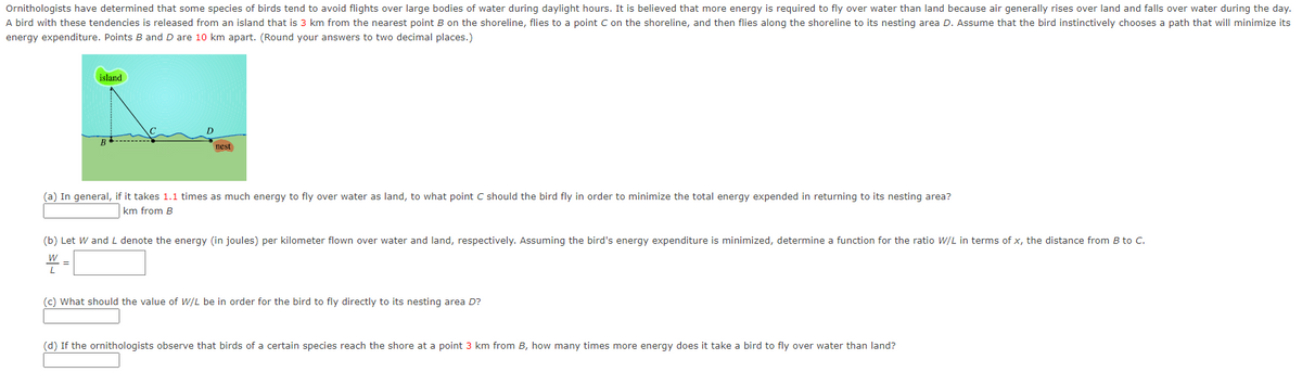 Ornithologists have determined that some species of birds tend to avoid flights over large bodies of water during daylight hours. It is believed that more energy is required to fly over water than land because air generally rises over land and falls over water during the day.
A bird with these tendencies is released from an island that is 3 km from the nearest point B on the shoreline, flies to a point C on the shoreline, and then flies along the shoreline to its nesting area D. Assume that the bird instinctively chooses a path that will minimize its
energy expenditure. Points B and D are 10 km apart. (Round your answers to two decimal places.)
island
D
nest
(a) In general, if it takes 1.1 times as much energy to fly over water as land, to what point C should the bird fly in order to minimize the total energy expended in returning to its nesting area?
km from B
(b) Let W and L denote the energy (in joules) per kilometer flown over water and land, respectively. Assuming the bird's energy expenditure is minimized, determine a function for the ratio W/L in terms of x, the distance from B to C.
W=
=
(c) What should the value of W/L be in order for the bird to fly directly to its nesting area D?
(d) If the ornithologists observe that birds of a certain species reach the shore at a point 3 km from B, how many times more energy does it take a bird to fly over water than land?