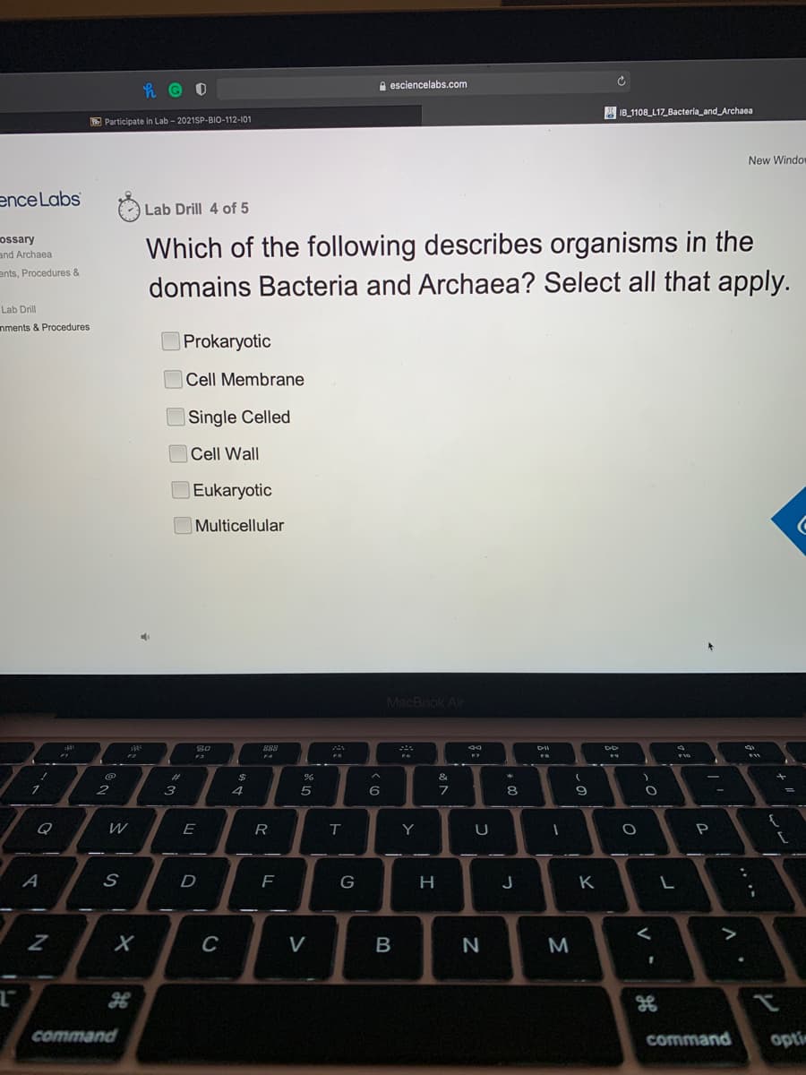 A esciencelabs.com
A IB_1108 L17_Bacteria_and Archaea
B Participate in Lab - 2021SP-BIO-112-101
New Window
ence Labs
Lab Drill 4 of 5
Which of the following describes organisms in the
domains Bacteria and Archaea? Select all that apply.
ossary
and Archaea
ents, Procedures &
Lab Drill
nments & Procedures
Prokaryotic
Cell Membrane
Single Celled
Cell Wall
Eukaryotic
Multicellular
MacBook Air
80
888
%23
&
3
4
6
8
Q
E
R
Y
U
A
H
J
K
V
B
M
command
command
opti
O O O

