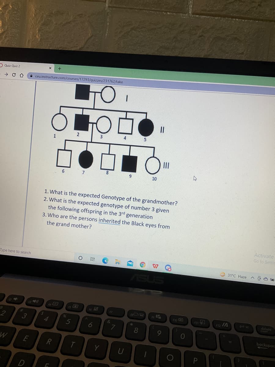 * Quiz: Quiz 2
A ceu.instructure.com/courses/17293/quizzes/231762/take
||
6
10
1. What is the expected Genotype of the grandmother?
2. What is the expected genotype of number 3 given
the following offspring in the 3rd generation
3. Who are the persons inherited the Black eyes from
the grand mother?
Activate
Go to Settin
Type here to search
31°C Haze
17
110 2
12 IA
pri sc
delete
niten
&
3
8.
backspac
%3D
E
R
Y
