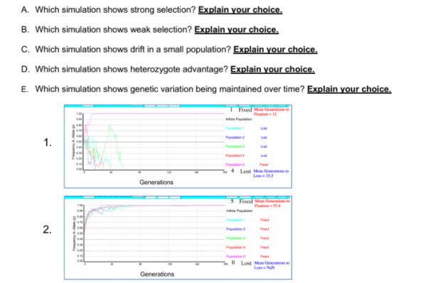 A. Which simulation shows strong selection? Explain your choice.
B. Which simulation shows weak selection? Explain your choice.
c. Which simulation shows drift in a small population? Explain your choice.
D. Which simulation shows heterozygote advantage? Explain your choice.
E. Which simulation shows genetic variation being maintained over time? Explain your choice.
T ixed M
Fiatien 12
1.
Pn lLo
L
Pa
4 Lost M Geti
Fad
Los-3
Generations
3 Fixed Men Gemeions te
Fation4
P
d
P d
P
Ppn
Fed
O Lost Men Genertions
Lo NaN
Generations
2.
