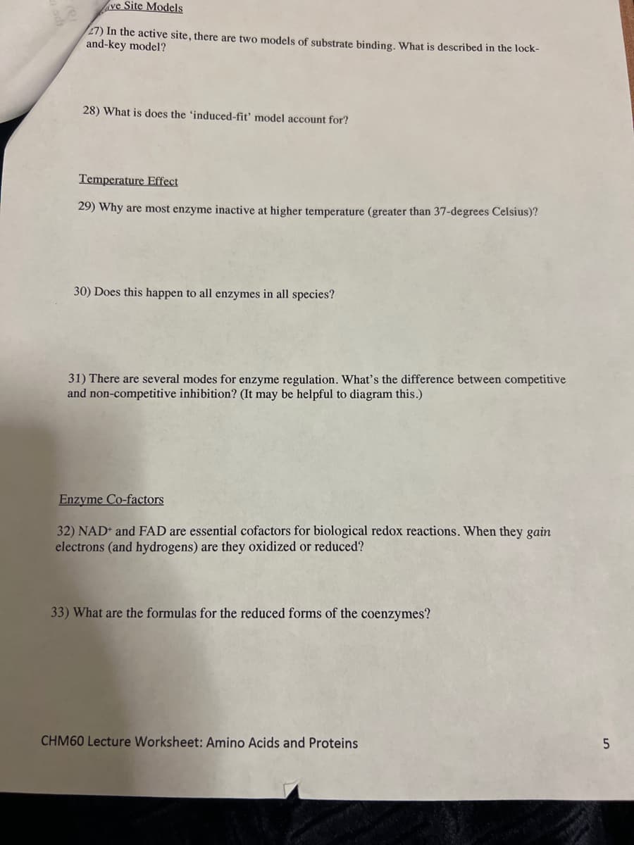 ve Site Models
27) In the active site, there are two models of substrate binding. What is described in the lock-
and-key model?
28) What is does the 'induced-fit' model account for?
Temperature Effect
29) Why are most enzyme inactive at higher temperature (greater than 37-degrees Celsius)?
30) Does this happen to all enzymes in all species?
31) There are several modes for enzyme regulation. What's the difference between competitive
and non-competitive inhibition? (It may be helpful to diagram this.)
Enzyme Co-factors
32) NAD+ and FAD are essential cofactors for biological redox reactions. When they gain
electrons (and hydrogens) are they oxidized or reduced?
33) What are the formulas for the reduced forms of the coenzymes?
CHM60 Lecture Worksheet: Amino Acids and Proteins
5