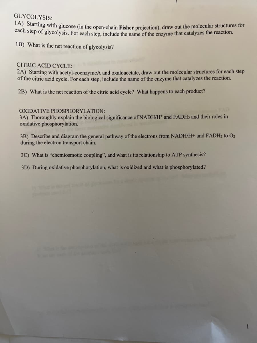 GLYCOLYSIS:
1A) Starting with glucose (in the open-chain Fisher projection), draw out the molecular structures for
each step of glycolysis. For each step, include the name of the enzyme that catalyzes the reaction.
1B) What is the net reaction of glycolysis?
CITRIC ACID CYCLE:
2A) Starting with acetyl-coenzymeA and oxaloacetate, draw out the molecular structures for each step
of the citric acid cycle. For each step, include the name of the enzyme that catalyzes the reaction.
2B) What is the net reaction of the citric acid cycle? What happens to each product?
OXIDATIVE PHOSPHORYLATION:
3A) Thoroughly explain the biological significance of NADH/H* and FADH2 and their roles in
oxidative phosphorylation.
3B) Describe and diagram the general pathway of the electrons from NADH/H+ and FADH₂ to O₂
during the electron transport chain.
3C) What is "chemiosmotic coupling", and what is its relationship to ATP synthesis?
3D) During oxidative phosphorylation, what is oxidized and what is phosphorylated?
1