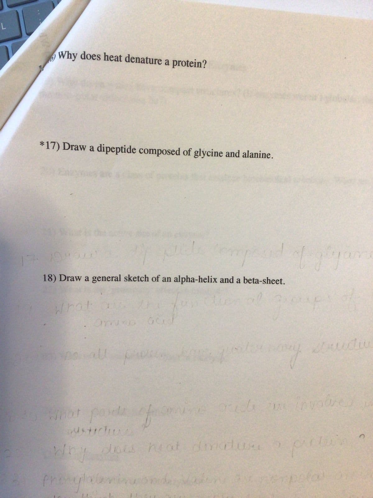 L
Why does heat denature a protein?
*17) Draw a dipeptide composed of glycine and alanine.
19.4.20
18) Draw a general sketch of an alpha-helix and a beta-sheet.
what as
Omno acd
Do all pis
What par
of
ohry does heat diatur ?
Phenylalan
m
une
tw
pride an involved