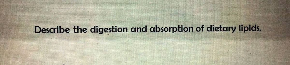 Describe the digestion and absorption of dietary lipids.