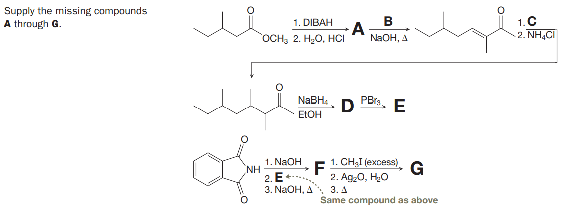 Supply the missing compounds
A through G.
В
A
ОСН3 2. Н.О, НCІ
1. C
2. NHẠCI
1. DIBAH
NaOH, A
NaBH4
PBr3
E
ELOH
1. NaOH
NH
2. E+
3. NaOH, A
1. CH31 (еxcess).
F
2. Ag20, H2O
3. Д
Same compound as above
G
