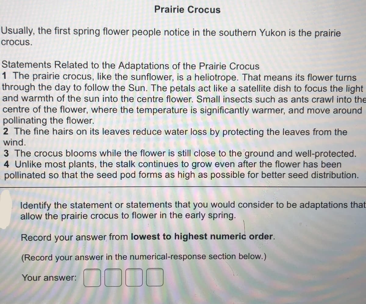 Prairie Crocus
Usually, the first spring flower people notice in the southern Yukon is the prairie
crocus.
Statements Related to the Adaptations of the Prairie Crocus
1 The prairie crocus, like the sunflower, is a heliotrope. That means its flower turns
through the day to follow the Sun. The petals act like a satellite dish to focus the light
and warmth of the sun into the centre flower. Small insects such as ants crawl into the
centre of the flower, where the temperature is significantly warmer, and move around
pollinating the flower.
2 The fine hairs on its leaves reduce water loss by protecting the leaves from the
wind.
3 The crocus blooms while the flower is still close to the ground and well-protected.
4 Unlike most plants, the stalk continues to grow even after the flower has been
pollinated so that the seed pod forms as high as possible for better seed distribution.
Identify the statement or statements that you would consider to be adaptations that
allow the prairie crocus to flower in the early spring.
Record your answer from lowest to highest numeric order.
(Record your answer in the numerical-response section below.)
Your answer:
