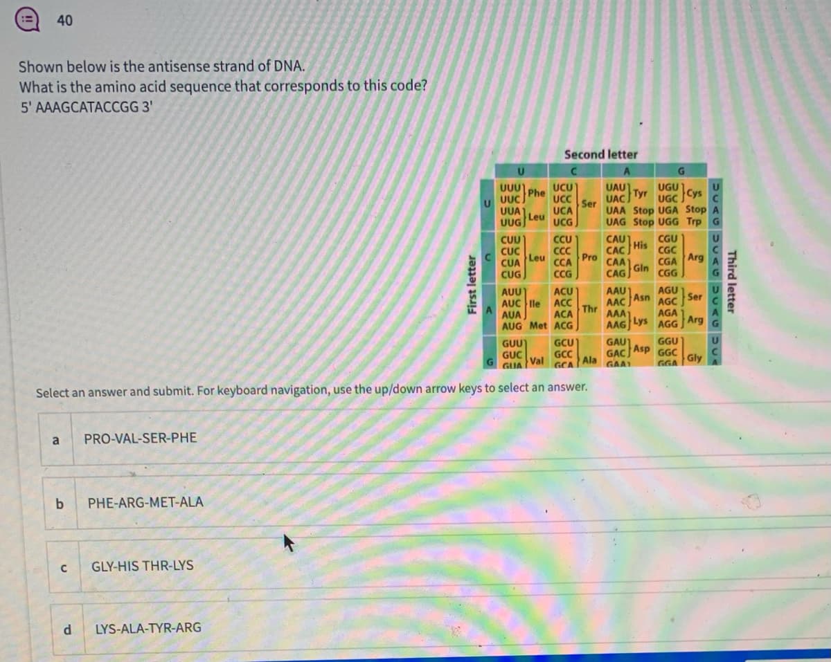 40
Shown below is the antisense strand of DNA.
What is the amino acid sequence that corresponds to this code?
5' AAAGCATACCGG 3'
Second letter
G.
UUU
Phe
UCU
UAU)
Tyr UGC Cys
UGU
UUC
UCC
UAC
Ser
UAA Stop UGA Stop A
UAG Stop UGG Trp
UUA
UCA
UUG
Leu
UG
CAU
His
CGU
CGC
CGA
CGG
CU
CUU
CUC
CUA
CUG
CAC
Pro
Leu
Arg
CCA
CAA)
Gin
CCG
CAG
AAU
AUU
AUC lle
AUA
AUG Met ACG
ACU
AGU
AAC
Asn
AGC
Ser
ACC
ACA
Thr
AAA1
AGA
AAG Lys AGG Arg
GAU)
Asp GGC
GAC
Ala
GAA
GGU
GUU
GUC
GUA Val
GCU
GCC
Gly
GCA
GGA
Select an answer and submit. For keyboard navigation, use the up/down arrow keys to select an answer.
a
PRO-VAL-SER-PHE
PHE-ARG-MET-ALA
GLY-HIS THR-LYS
d
LYS-ALA-TYR-ARG
First letter
Third letter
