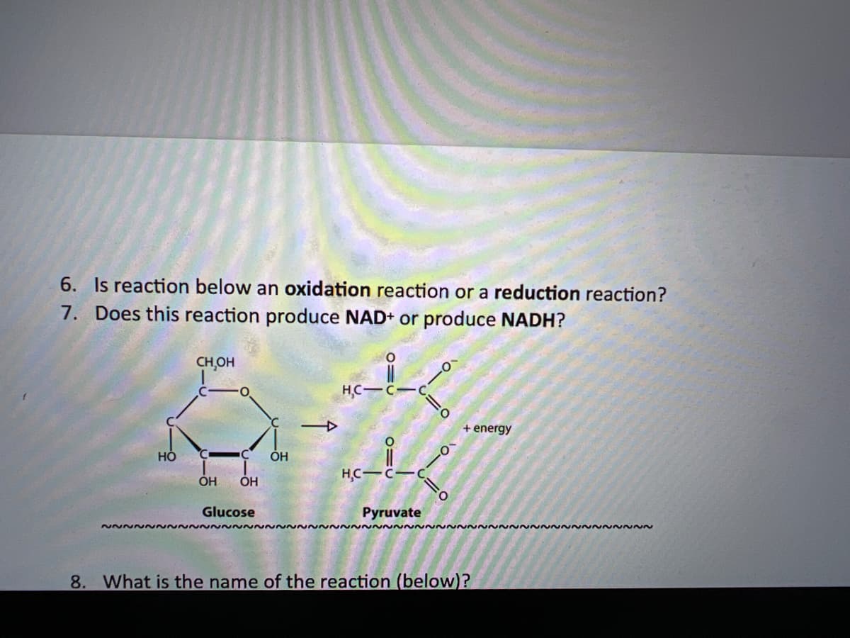 6. Is reaction below an oxidation reaction or a reduction reaction?
7. Does this reaction produce NAD+ or produce NADH?
~~~
HO
CH₂OH
OH
C OH
OH
Glucose
H,C
H,C
0=
=
0=2
Pyruvate
+ energy
8. What is the name of the reaction (below)?
~~~~~~~~~~~~~~~