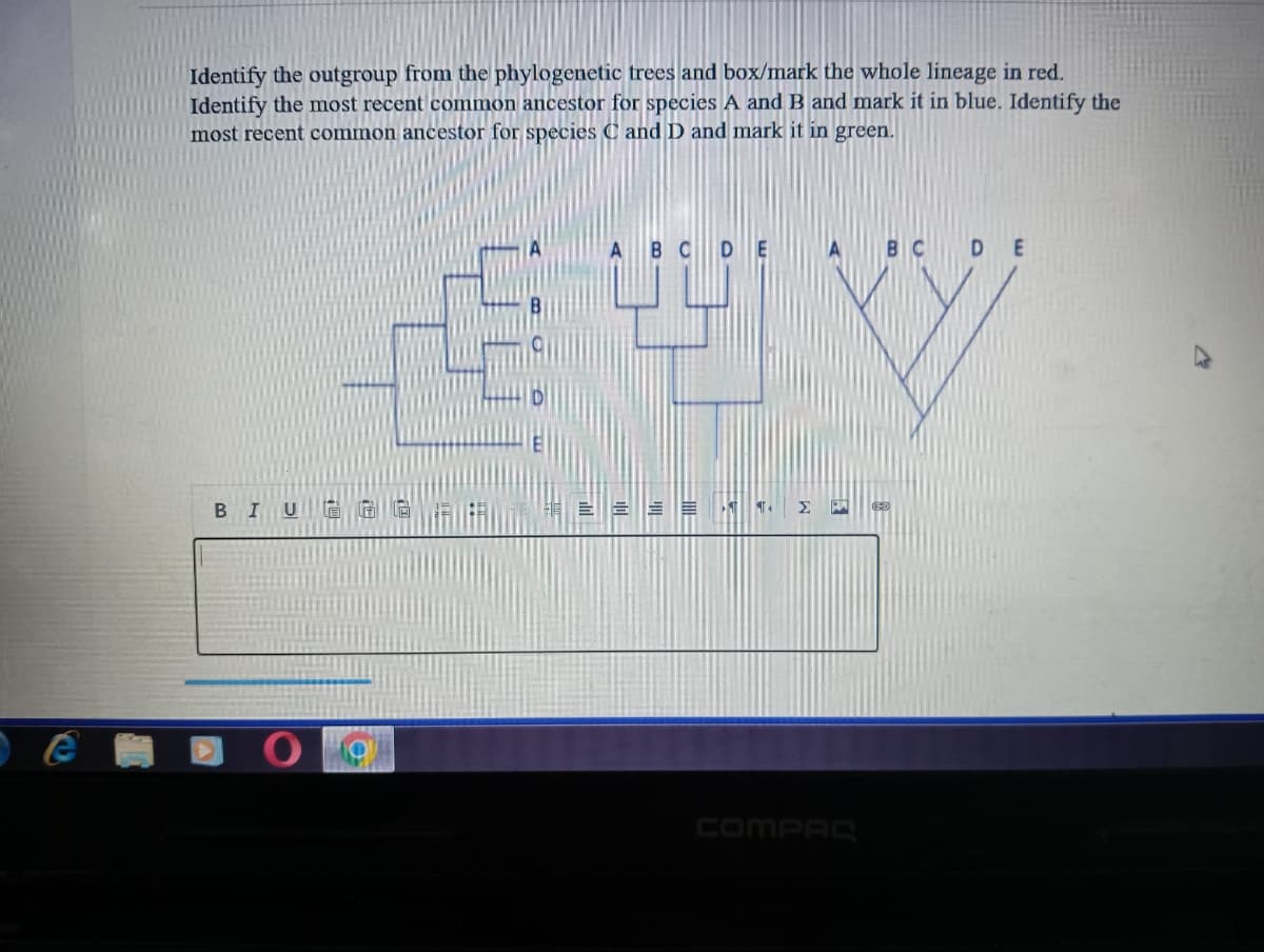 Identify the outgroup from the phylogenetic trees and box/mark the whole lineage in red.
Identify the most recent common ancestor for species A and B and mark it in blue. Identify the
most recent common ancestor for species C and D and mark it in green.
ABCDE
DE
면 V
BIU GGG
!!!
르르르
M
compre