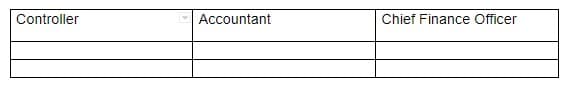 Controller
Accountant
Chief Finance Officer
