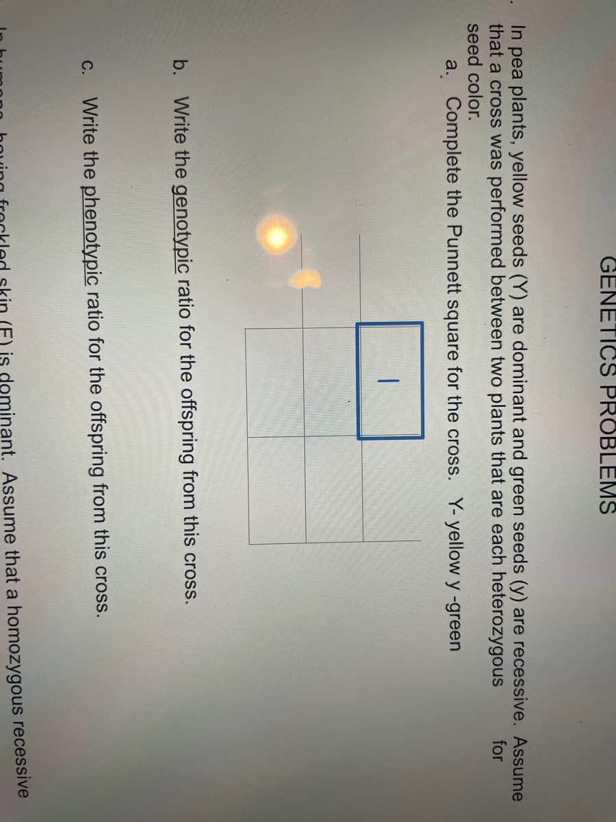 GENETICS PROBLEMS
. In pea plants, yellow seeds (Y) are dominant and green seeds (y) are recessive. Assume
that a cross was performed between two plants that are each heterozygous
seed color.
for
a. Complete the Punnett square for the cross. Y- yellow y -green
b. Write the genotypic ratio for the offspring from this cross.
C.
Write the phenotypic ratio for the offspring from this cross.
(F) is deminant. Assume that a homozygous recessive
