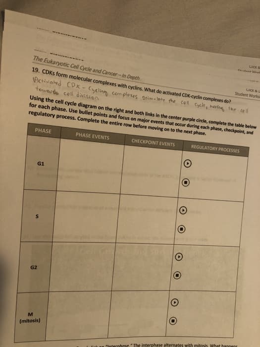 LICK
udest Wlor
The Eukaryotic Cell Cycle and Cancer-In Depth
LICK&L
19. CDKS form molecular complexes with cyclins. What do activated CDK-cyclin complexes do?
Activated CDX- Cyeling compleses stimu lete the coll Cycle, movtng tme cell
towarde coll division
Student Worksi
Using the cell cycle diagram on the right and both links in the center purple circle, complete the table below
for each phase. Use bullet points and focus on major events that occur during each phase, checkpoint, and
regulatory process. Complete the entire row before moving on to the next phase.
PHASE
PHASE EVENTS
CHECKPOINT EVENTS
REGULATORY PROCESSES
G1
G2
(mitosis)
"laternhase. "The interphase alternates with mitosis. What hannens
