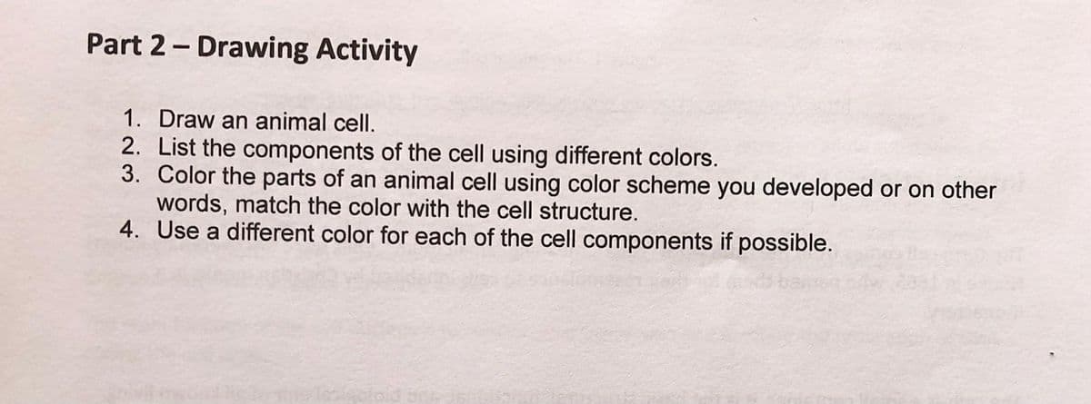 Part 2- Drawing Activity
1. Draw an animal cell.
2. List the components of the cell using different colors.
3. Color the parts of an animal cell using color scheme you developed or on other
words, match the color with the cell structure.
4. Use a different color for each of the cell components if possible.
