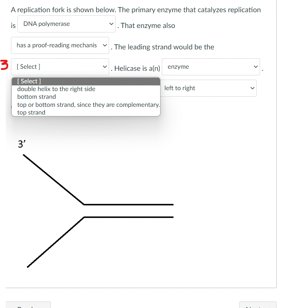 A replication fork is shown below. The primary enzyme that catalyzes replication
is
DNA polymerase
That enzyme also
has a proof-reading mechanis
The leading strand would be the
[ Select ]
Helicase is a(n) enzyme
[ Select ]
left to right
double helix to the right side
bottom strand
top or bottom strand, since they are complementary.
top strand
3'

