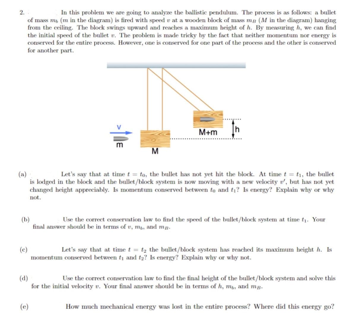 2.
In this problem we are going to analyze the ballistic pendulum. The process is as follows: a bullet
of mass m, (m in the diagram) is fired with speed v at a wooden block of mass m3 (M in the diagram) hanging
from the ceiling. The block swings upward and reaches a maximum height of h. By measuring h, we can find
the initial speed of the bullet v. The problem is made tricky by the fact that neither momentum nor energy is
conserved for the entire process. However, one is conserved for one part of the process and the other is conserved
for another part.
>↑DE
(c)
M
(a)
Let's say that at time t = to, the bullet has not yet hit the block. At time t = t₁, the bullet
is lodged in the block and the bullet/block system is now moving with a new velocity v', but has not yet
changed height appreciably. Is momentum conserved between to and t₁? Is energy? Explain why or why
not.
M+m
(b)
Use the correct conservation law to find the speed of the bullet/block system at time t₁. Your
final answer should be in terms of v, my, and mp.
(e)
Let's say that at time t = t₂ the bullet/block system has reached its maximum height h. Is
momentum conserved between t₁ and t₂? Is energy? Explain why or why not.
(d)
Use the correct conservation law to find the final height of the bullet/block system and solve this
for the initial velocity v. Your final answer should be in terms of h, mu, and mp.
How much mechanical energy was lost in the entire process? Where did this energy go?