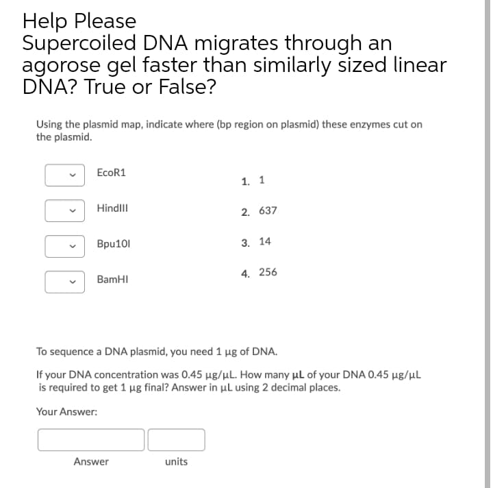 Help Please
Supercoiled DNA migrates through an
agorose gel faster than similarly sized linear
DNA? True or False?
Using the plasmid map, indicate where (bp region on plasmid) these enzymes cut on
the plasmid.
EcoR1
1. 1
Hindlll
2. 637
Bpu101
3. 14
BamHI
4. 256
To sequence a DNA plasmid, you need 1 µg of DNA.
If your DNA concentration was 0.45 µg/µL. How many µl of your DNA 0.45 µg/µL
is required to get 1 µg final? Answer in µl using 2 decimal places.
Your Answer:
Answer
units
>
