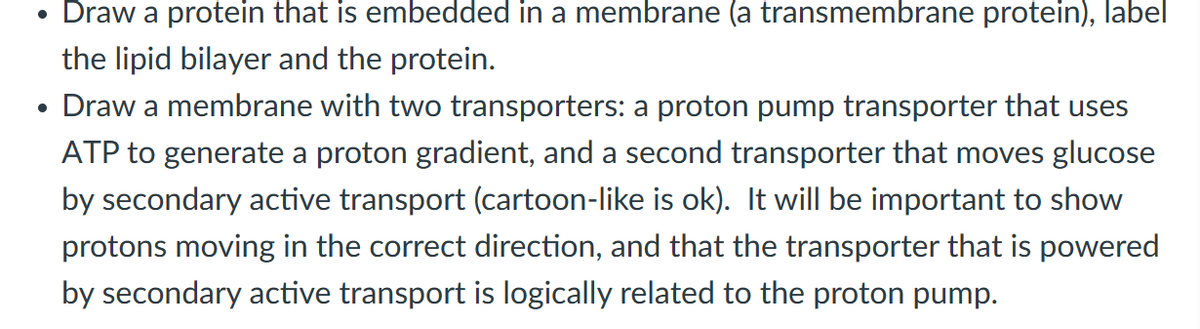 • Draw a protein that is embedded in a membrane (a transmembrane protein), label
the lipid bilayer and the protein.
Draw a membrane with two transporters: a proton pump transporter that uses
ATP to generate a proton gradient, and a second transporter that moves glucose
by secondary active transport (cartoon-like is ok). It will be important to show
protons moving in the correct direction, and that the transporter that is powered
by secondary active transport is logically related to the proton pump.
●