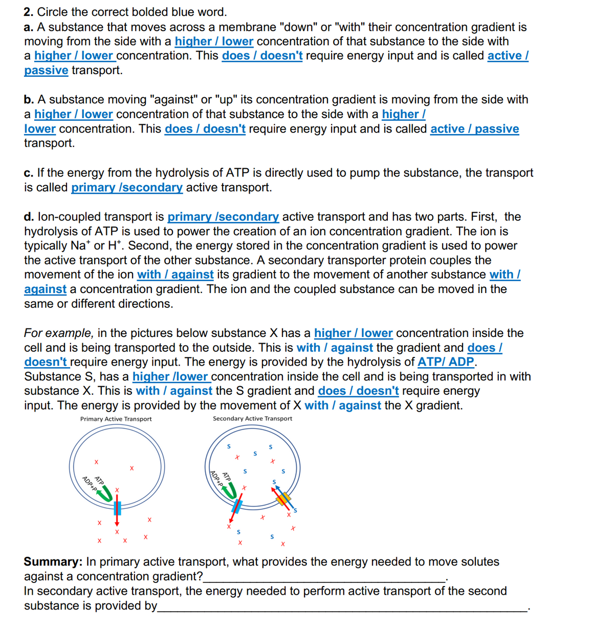 2. Circle the correct bolded blue word.
a. A substance that moves across a membrane "down" or "with" their concentration gradient is
moving from the side with a higher / lower concentration of that substance to the side with
a higher / lower concentration. This does / doesn't require energy input and is called active /
passive transport.
b. A substance moving "against" or "up" its concentration gradient is moving from the side with
a higher / lower concentration of that substance to the side with a higher /
lower concentration. This does / doesn't require energy input and is called active / passive
transport.
c. If the energy from the hydrolysis of ATP is directly used to pump the substance, the transport
is called primary /secondary active transport.
d. Ion-coupled transport is primary /secondary active transport and has two parts. First, the
hydrolysis of ATP is used to power the creation of an ion concentration gradient. The ion is
typically Na* or H*. Second, the energy stored in the concentration gradient is used to power
the active transport of the other substance. A secondary transporter protein couples the
movement of the ion with / against its gradient to the movement of another substance with /
against a concentration gradient. The ion and the coupled substance can be moved in the
same or different directions.
For example, in the pictures below substance X has a higher / lower concentration inside the
cell and is being transported to the outside. This is with / against the gradient and does /
doesn't require energy input. The energy is provided by the hydrolysis of ATP/ ADP.
Substance S, has a higher /lower concentration inside the cell and is being transported in with
substance X. This is with / against the S gradient and does / doesn't require energy
input. The energy is provided by the movement of X with / against the X gradient.
Primary Active Transport
Secondary Active Transport
ADP+P
ATP
X
ADP+P
ATP
S
Summary: In primary active transport, what provides the energy needed to move solutes
against a concentration gradient?
In secondary active transport, the energy needed to perform active transport of the second
substance is provided by_