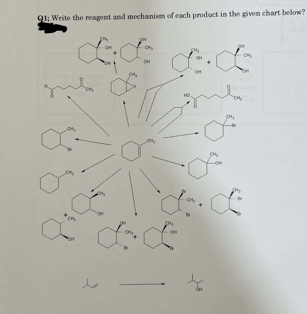 Q1; Write the reagent and mechanism of each product in the given chart below?
с
CH3
Br
CH3
ХСН3
OH
CH3
CH3
***
OH
ОН
OH
CH3
+
CH3
ОН
CH3
do
Br
ОН
11.
CH3
ОН
CH3
CH3
... OH
'Br
HO
Br
11***
CH3
Br
CH3
ОН
OH
ОН
+
CH3
-OH
CH3
CH3
OH
-Br
CH3
... Br
CH3
ОН