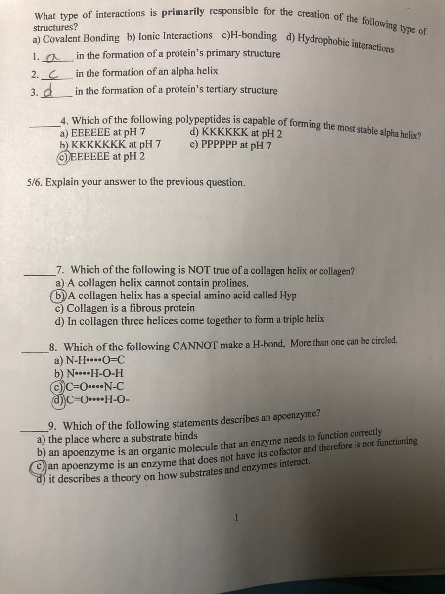 What type of interactions is primarily responsible for the creation of the following type of
a) Covalent Bonding b) Ionic Interactions c)H-bonding d) Hydrophobic interactions
structures?
1. a
in the formation of a protein's primary structure
2. C
in the formation of an alpha helix
3. d
in the formation of a protein's tertiary structure
4. Which of the following polypeptides is capable of forming the most stable alpha helix?
a) EEEEEE at pH 7
d) KKKKKK at pH 2
e) PPPPPP at pH 7
b) KKKKKKK at pH 7
(c) EEEEEE at pH 2
5/6. Explain your answer to the previous question.
7. Which of the following is NOT true of a collagen helix or collagen?
a) A collagen helix cannot contain prolines.
b) A collagen helix has a special amino acid called Hyp
c) Collagen is a fibrous protein
d) In collagen three helices come together to form a triple helix
8. Which of the following CANNOT make a H-bond. More than one can be circled.
a) N-HO-C
b) N…H-O-H
Ⓒ)C=O....N-C
d)C=O....H-O-
9. Which of the following statements describes an apoenzyme?
a) the place where a substrate binds
b) an apoenzyme is an organic molecule that an enzyme needs to function correctly
an apoenzyme is an enzyme that does not have its cofactor and therefore is not functioning
d) it describes a theory on how substrates and enzymes interact.