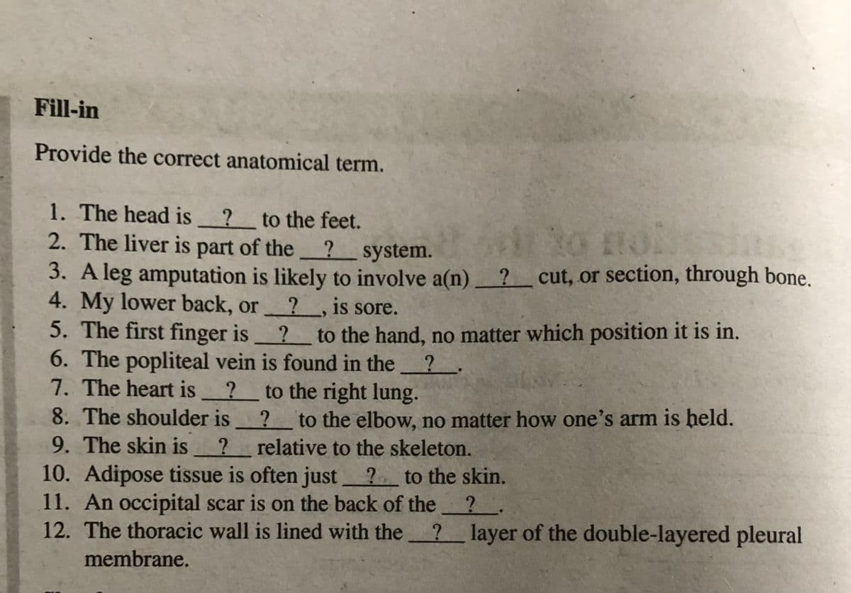 Fill-in
Provide the correct anatomical term.
1. The head is ?_to the feet.
2. The liver is part of the ? system.
to no
3. A leg amputation is likely to involve a(n)? cut, or section, through bone.
4. My lower back, or
5. The first finger is ?
6. The popliteal vein is found in the
7. The heart is
?, is sore.
to the hand, no matter which position it is in.
? to the right lung.
8. The shoulder is
to the elbow, no matter how one's arm is held.
relative to the skeleton.
9. The skin is
10. Adipose tissue is often just ? _to the skin.
11. An occipital scar is on the back of the
12. The thoracic wall is lined with the ? layer of the double-layered pleural
membrane.
