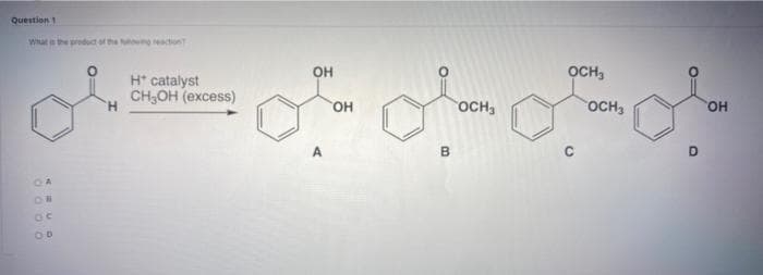 Question 1
What is the product of the towing reaction
оваа орогого
H* catalyst
CH3OH (excess)
OCH
В
oc
00
ОН
OH
OCH
OCH3
D
OH