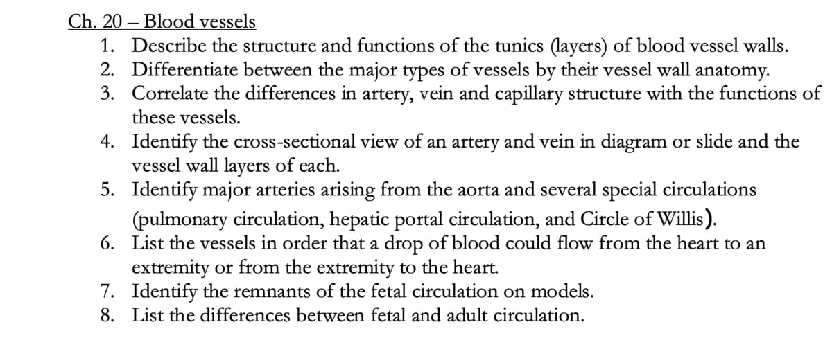 Ch. 20- Blood vessels
1. Describe the structure and functions of the tunics (layers) of blood vessel walls.
2. Differentiate between the major types of vessels by their vessel wall anatomy.
3. Correlate the differences in artery, vein and capillary structure with the functions of
these vessels.
4. Identify the cross-sectional view of an artery and vein in diagram or slide and the
vessel wall layers of each.
5.
Identify major arteries arising from the aorta and several special circulations
(pulmonary circulation, hepatic portal circulation, and Circle of Willis).
6.
List the vessels in order that a drop of blood could flow from the heart to an
extremity or from the extremity to the heart.
7. Identify the remnants of the fetal circulation on models.
8. List the differences between fetal and adult circulation.