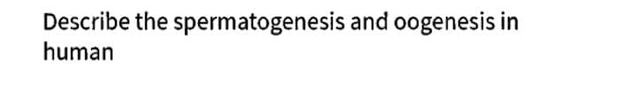 Describe the spermatogenesis and oogenesis in
human
