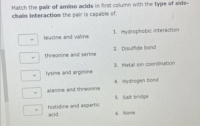 Match the pair of amino acids in first column with the type of side-
chain interaction the pair is capable of.
leucine and valine
1. Hydrophobic interaction
2. Disulfide bond
threonine and serine
3. Metal ion coordination
lysine and arginine
4. Hydrogen bond
alanine and threonine
5. Salt bridge
histidine and aspartic
acid
6. None
>