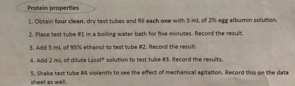 Protein properties
1. Obtain four clean, dry test tubes and fill each one with 5 mL of 2% egg albumin solution.
2. Place test tube #1 in a boiling water bath for five minutes. Record the result.
3. Add 5 mL of 95% ethanol to test tube #2. Record the result.
4. Add 2 mL of dilute Lysol® solution to test tube #3. Record the results.
5. Shake test tube #4 violently to see the effect of mechanical agitation. Record this on the data
sheet as well.
