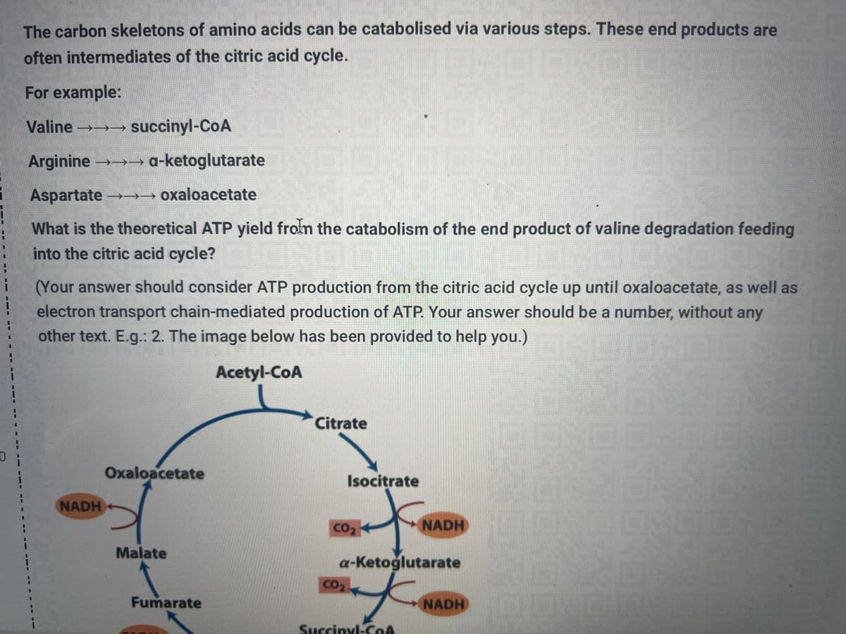 1
The carbon skeletons of amino acids can be catabolised via various steps. These end products are
often intermediates of the citric acid cycle.
100X0 0801
For example:
Valine →→→succinyl-CoA
Arginine →→→ a-ketoglutarate
Aspartate →→→→ oxaloacetate
What is the theoretical ATP yield from the catabolism of the end product of valine degradation feeding
into the citric acid cycle?
OND OND
(Your answer should consider ATP production from the citric acid cycle up until oxaloacetate, as well as
electron transport chain-mediated production of ATP. Your answer should be a number, without any
other text. E.g.: 2. The image below has been provided to help you.):00:0
Acetyl-CoA
NADH
Oxaloacetate
Malate
Fumarate
1.
040
Citrate
Isocitrate
*
a-ketoglutarate
f
Succinyl-CoA
CO2
CO₂
NADH
NET
16.
0
10:00:0ONDI
NADH DOROHOI