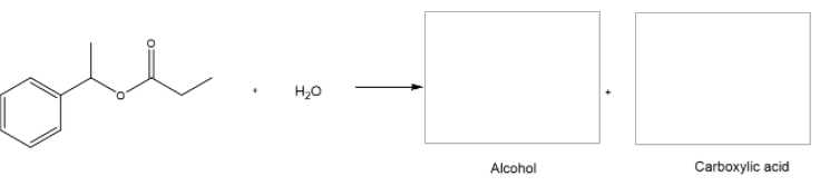 H20
Alcohol
Carboxylic acid
