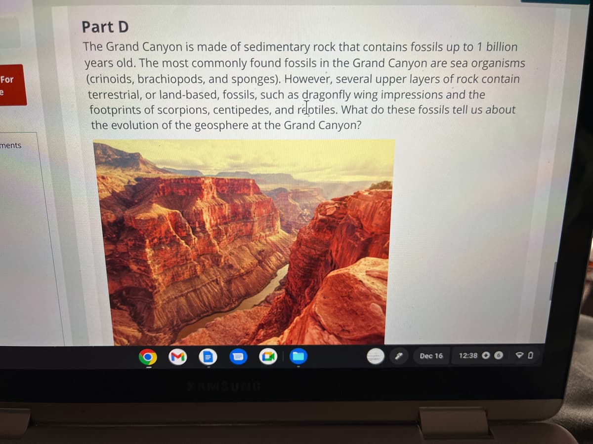 For
e
ments
Part D
The Grand Canyon is made of sedimentary rock that contains fossils up to 1 billion
years old. The most commonly found fossils in the Grand Canyon are sea organisms
(crinoids, brachiopods, and sponges). However, several upper layers of rock contain
terrestrial, or land-based, fossils, such as dragonfly wing impressions and the
footprints of scorpions, centipedes, and reptiles. What do these fossils tell us about
the evolution of the geosphere at the Grand Canyon?
C
M
SAMSUNG
Dec 16
12:38 O