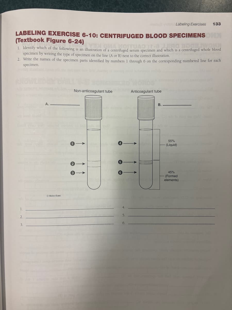 1.
2.
3.
hoold
malaye yotolu Labeling Exercises
133
LABELING EXERCISE 6-10: CENTRIFUGED BLOOD SPECIMENS
(Textbook Figure 6-24)
СИА ИОГ
1. Identify which of the following is an illustration of a centrifuged serum specimen and which is a centrifuged whole blood
JJING
MOITUA -8 FORD
specimen by writing the type of specimen on the line (A or B) next to the correct illustration.
2. Write the names of the specimen parts identified by numbers 1 through 6 on the corresponding numbered line for each
specimen.
A..
Wolters Kluwer.
& B
Non-anticoagulant tube
Anticoagulant tube
4
B.
55%
(Liquid)
6
yd batoo et bold
45%
(Formed
elements)
4.
5.
6.