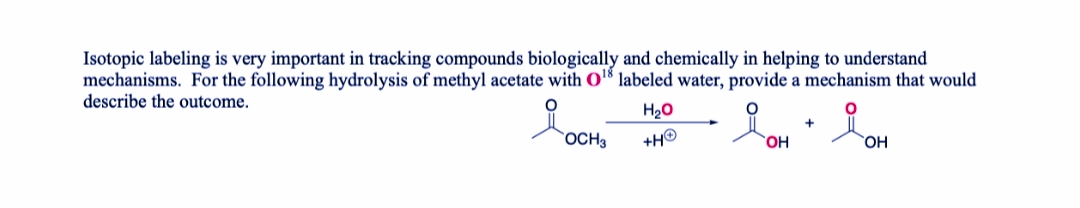 Isotopic labeling is very important in tracking compounds biologically and chemically in helping to understand
mechanisms. For the following hydrolysis of methyl acetate with o® labeled water, provide a mechanism that would
describe the outcome.
H20
`OCH3
+H©
HO,
