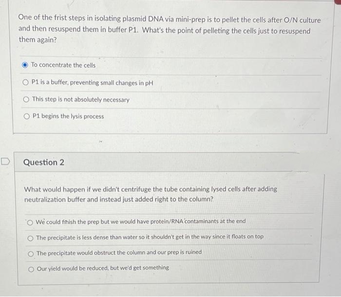 One of the frist steps in isolating plasmid DNA via mini-prep is to pellet the cells after O/N culture
and then resuspend them in buffer P1. What's the point of pelleting the cells just to resuspend
them again?
To concentrate the cells
P1 is a buffer, preventing small changes in pH
O This step is not absolutely necessary
P1 begins the lysis process
D
Question 2
What would happen if we didn't centrifuge the tube containing lysed cells after adding
neutralization buffer and instead just added right to the column?
O We could fihish the prep but we would have protein/RNA contaminants at the end
O The precipitate is less dense than water so it shouldn't get in the way since it floats on top
O The precipitate would obstruct the column and our prep is ruined
O Our yield would be reduced, but we'd get something
