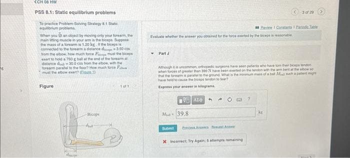 SCH 08 HW
PSS 8.1: Static equilibrium problems
To practice Problem Solving Strategy 8.1 Static
equilibrium problems.
When you at an object by moving only your forearm, the
main lining muscle in your arm is the biceps. Suppose
the mass of a forearm is 1.20 kg. If the biceps is
connected to the forearm a distance du-3.50 cen
from the elbow, how much force F must the biceps
exert to hold a 750 g bal at the end of the forearm at
distance du 30.0 ctn from the elbow, with the
torearm parallel to the floor? How much force F
must the elbow exert? (Doute 1)
Figure
dap
Biceps
Soull
1 of 1
Evaluate whether the answer you obtained for the force exerted by the biceps is reasonable
▾
Part J
VAX
Although it is uncommon, orthopedic surgeons have seen patients who have tom their biceps tendon
when forces of greater than 390 N have been exeded on the tendon with the arm bent at the elbow so
that the forearm is parallel to the ground. What is the minimum mass of a ball Af such a patient might
have held to cause the biceps tendon to fear?
Express your answer in kilograms.
M39.8
Submit PA RevestAnwe
X Incorrect: Try Again; 5 attempts remaining
Review Constants Periodic Table
?
3 of 29
ke