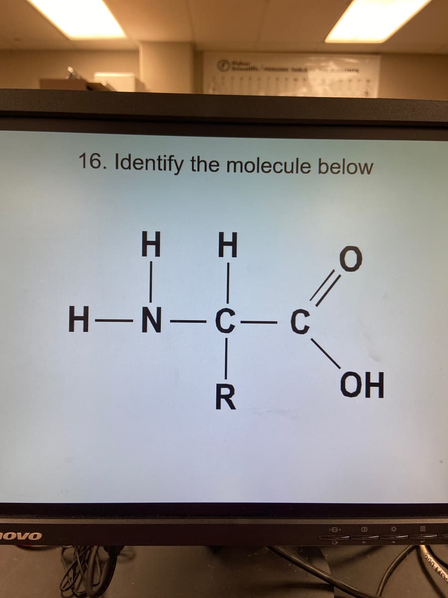 tue
16. Identify the molecule below
H H
H-N-C- C
ОН
CO
ovo
-CIR
